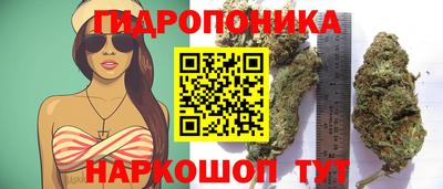 MESCALINE Будённовск