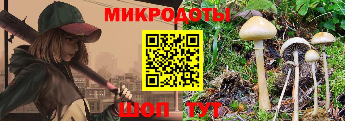 Псилоцибиновые грибы мицелий Котлас