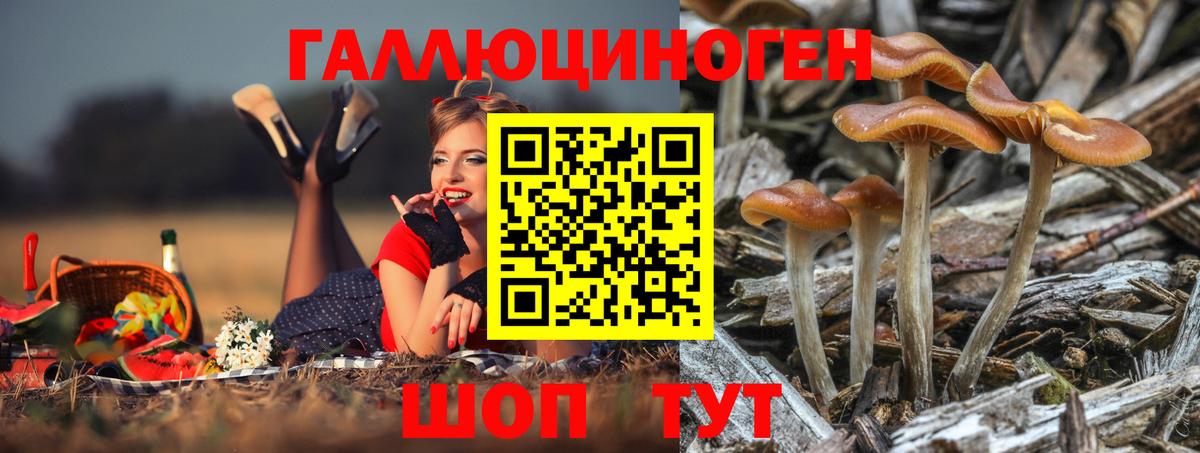 Котлас  Псилоцибиновые грибы мухоморы  Вход с VPN 