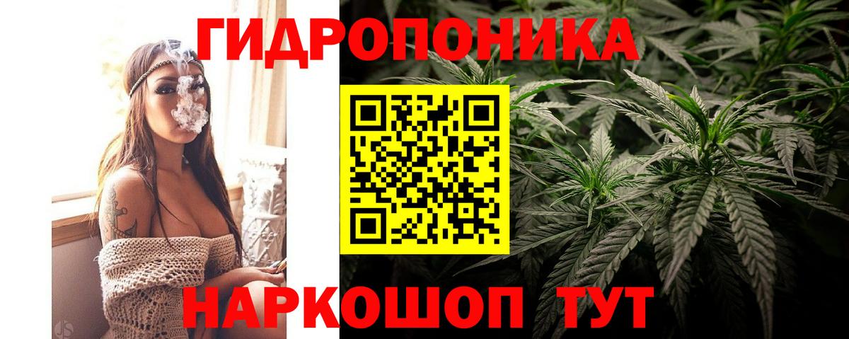 Канабис White Widow  Бошки Шишки VHQ  Вход с VPN  Котлас  Бошки марихуана марихуана 